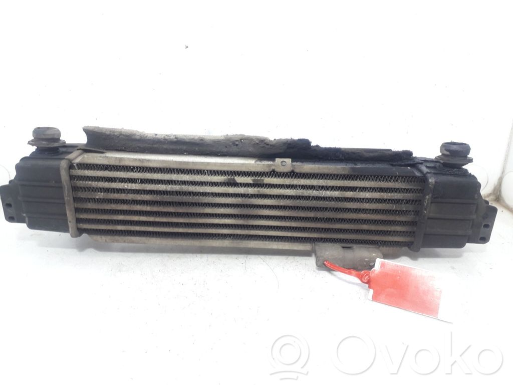 Radiatore intercooler   281904A160