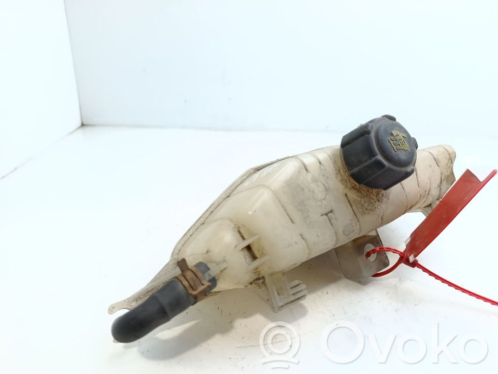 Renault Clio III Vas expansiune/rezervor lichid de răcire