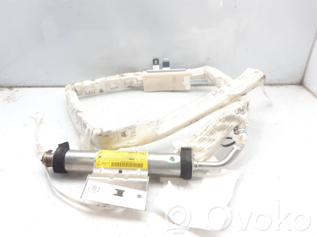 Jaguar S-Type Airbag del techo 