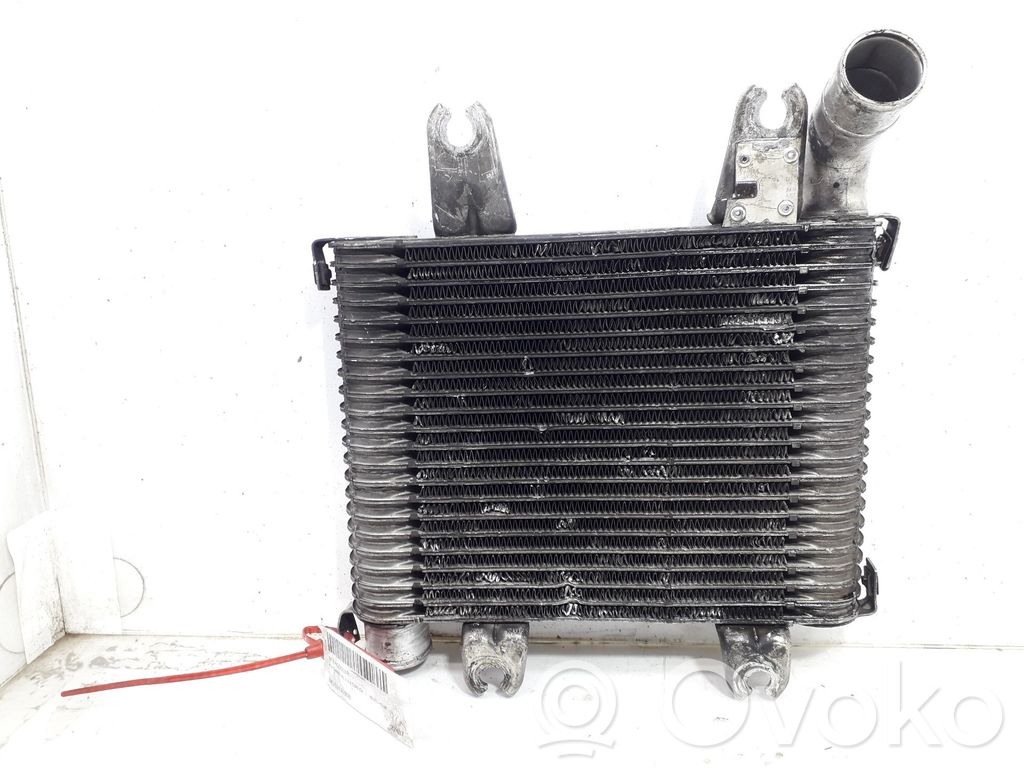 Interkūlerio radiatorius   0K55313550B