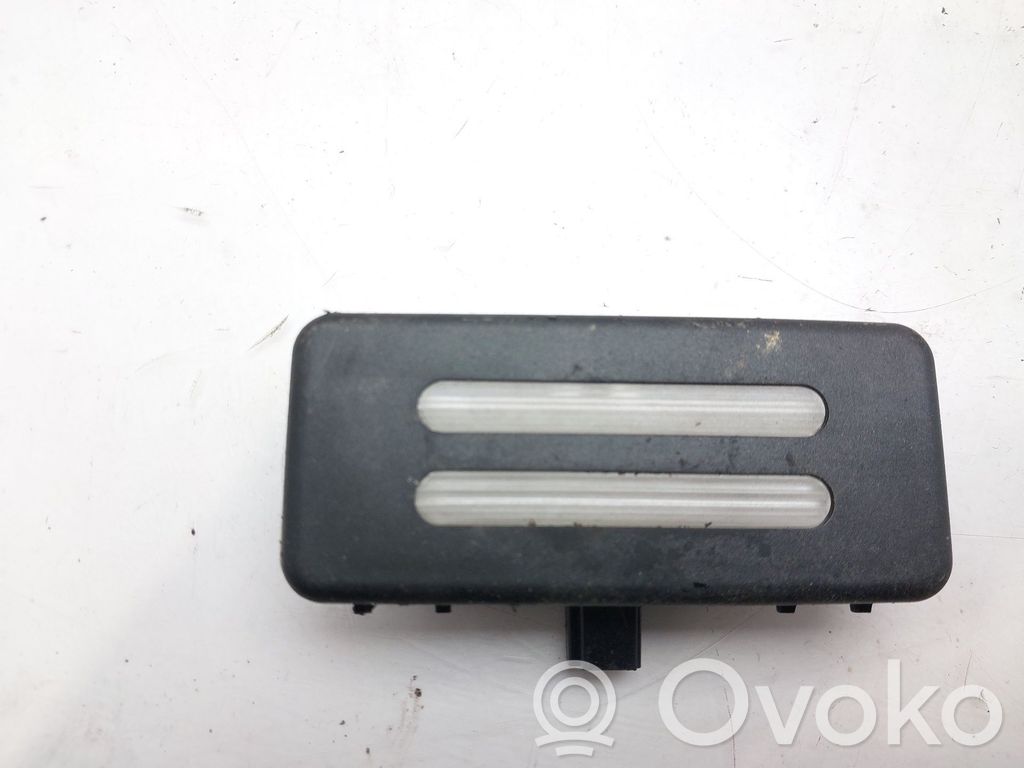 Renault Megane I Kennzeichenbeleuchtung 