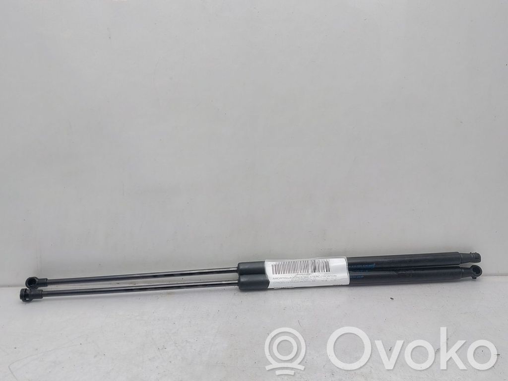 Citroen C4 Grand Picasso Ammortizzatore portellone posteriore/bagagliaio