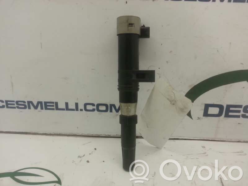High voltage ignition coil   E13