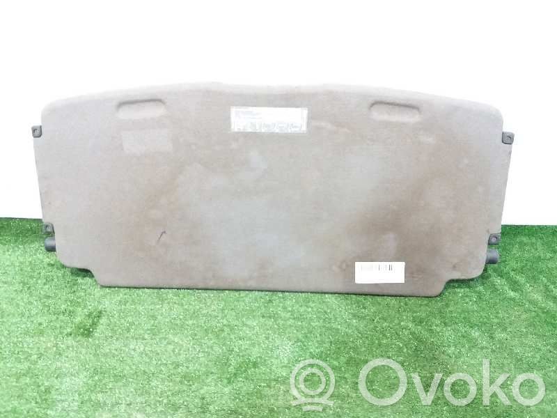 Renault Scenic I Hattuhylly 
