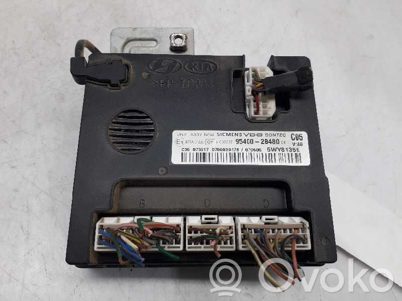 Hyundai Santa Fe Alte unități/module de control