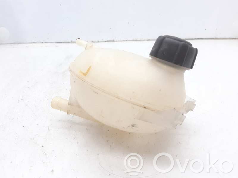 Dacia Duster Serbatoio di compensazione del liquido refrigerante/vaschetta