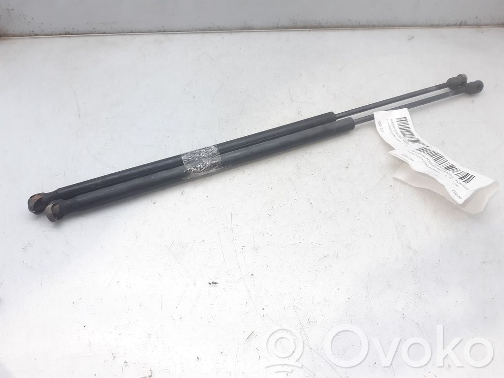 Ford Fiesta Tailgate/trunk strut/damper 