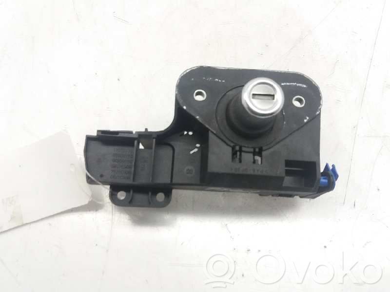 Tailgate trunk handle   24460840