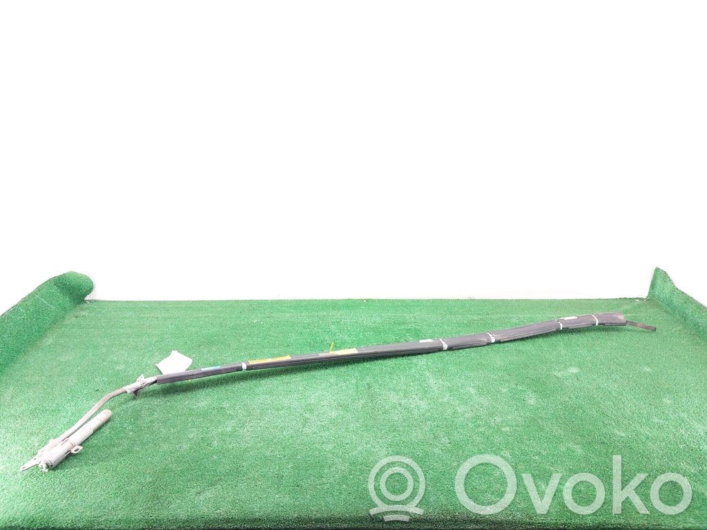 Airbag del techo   850102E000