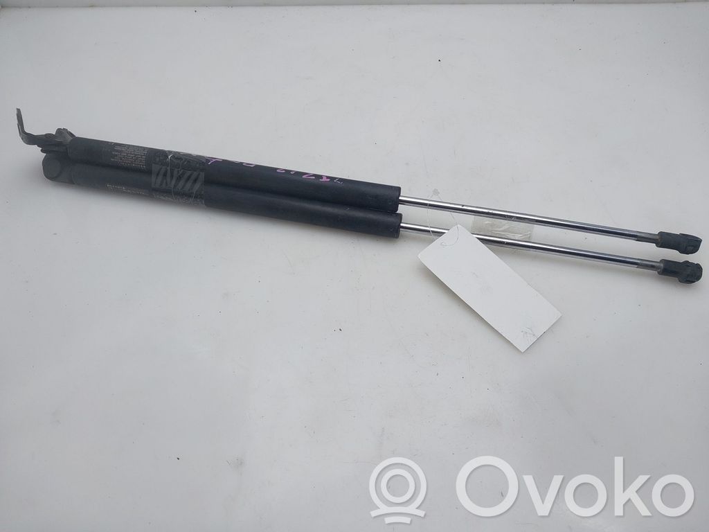 Tailgate/trunk strut/damper   C23562620E