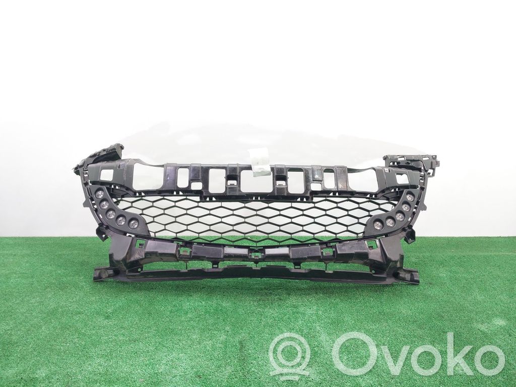 Kühlergrill   K3006