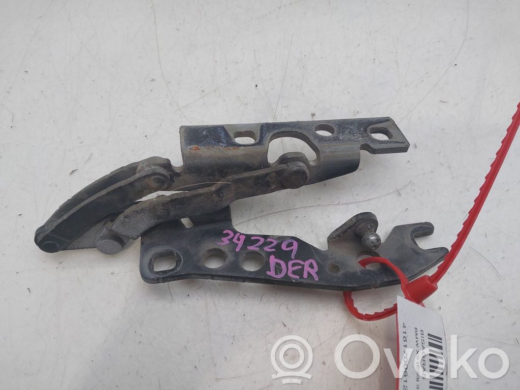 BMW X5 E53 Engine bonnet/hood hinges 