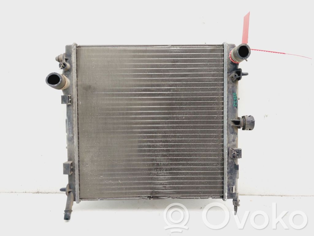 Citroen C3 Pluriel Aušinimo skysčio radiatorius 