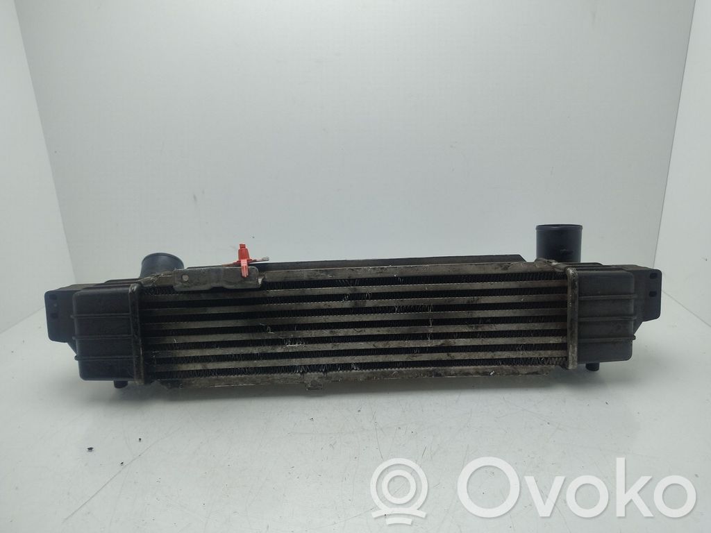 Radiador intercooler   281904A160