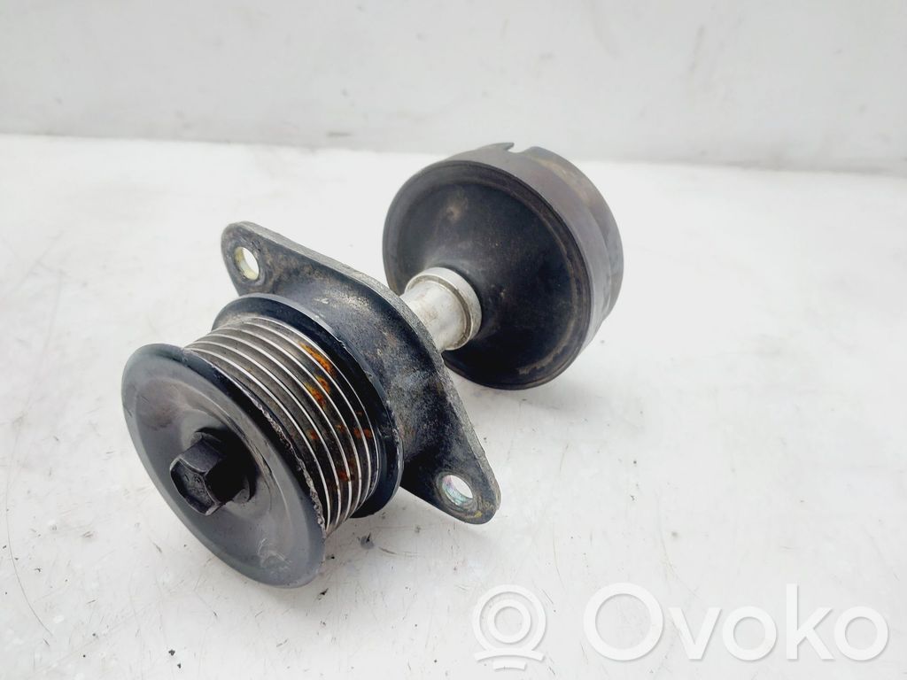 Ford Focus Polea del alternador 