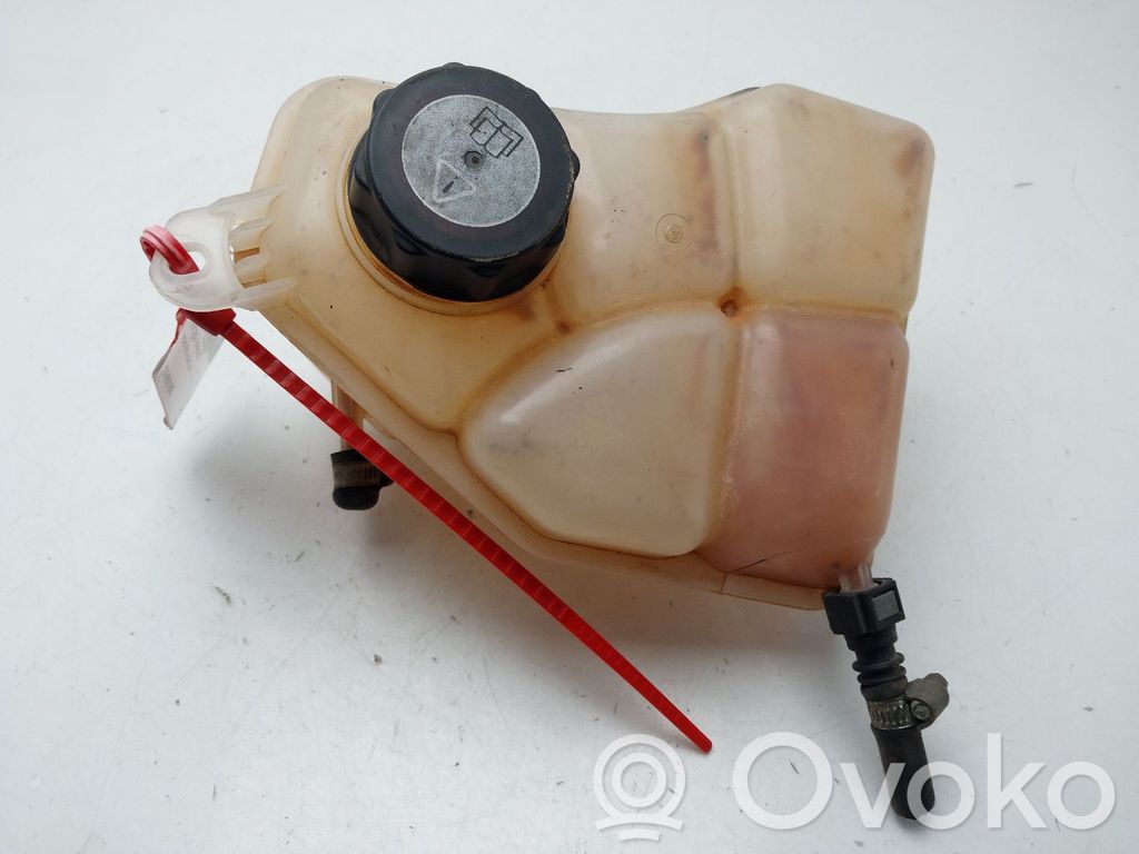 Ford Fiesta Zbiornik wyrównawczy chłodziwa 