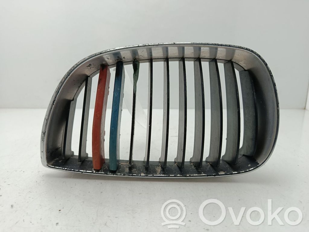 Kühlergrill   51137077129