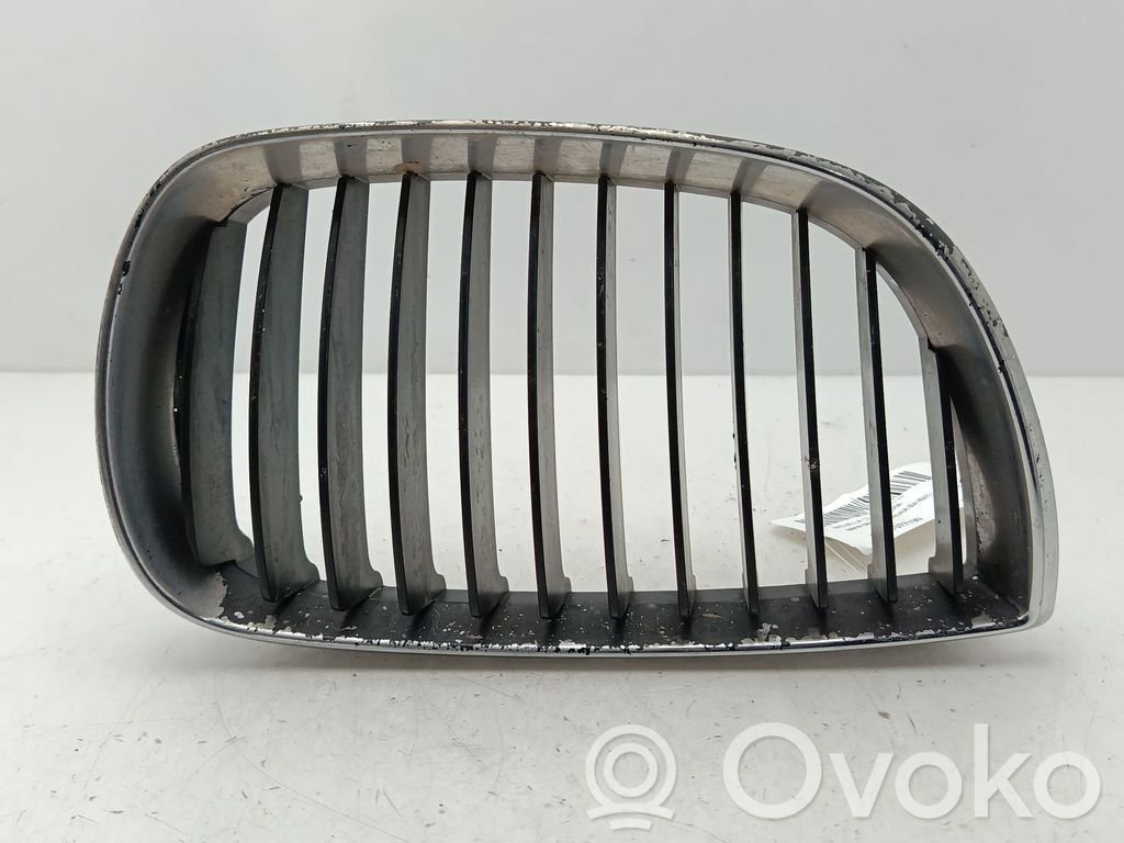 Kühlergrill   51137077130
