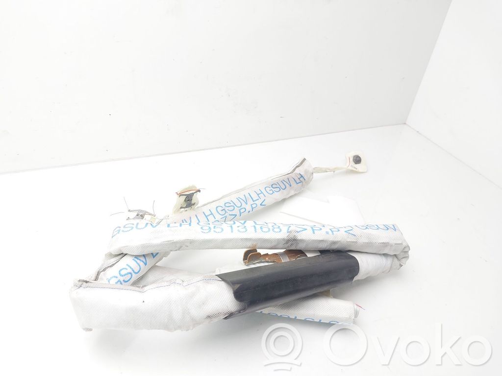 Airbag del techo   9513168