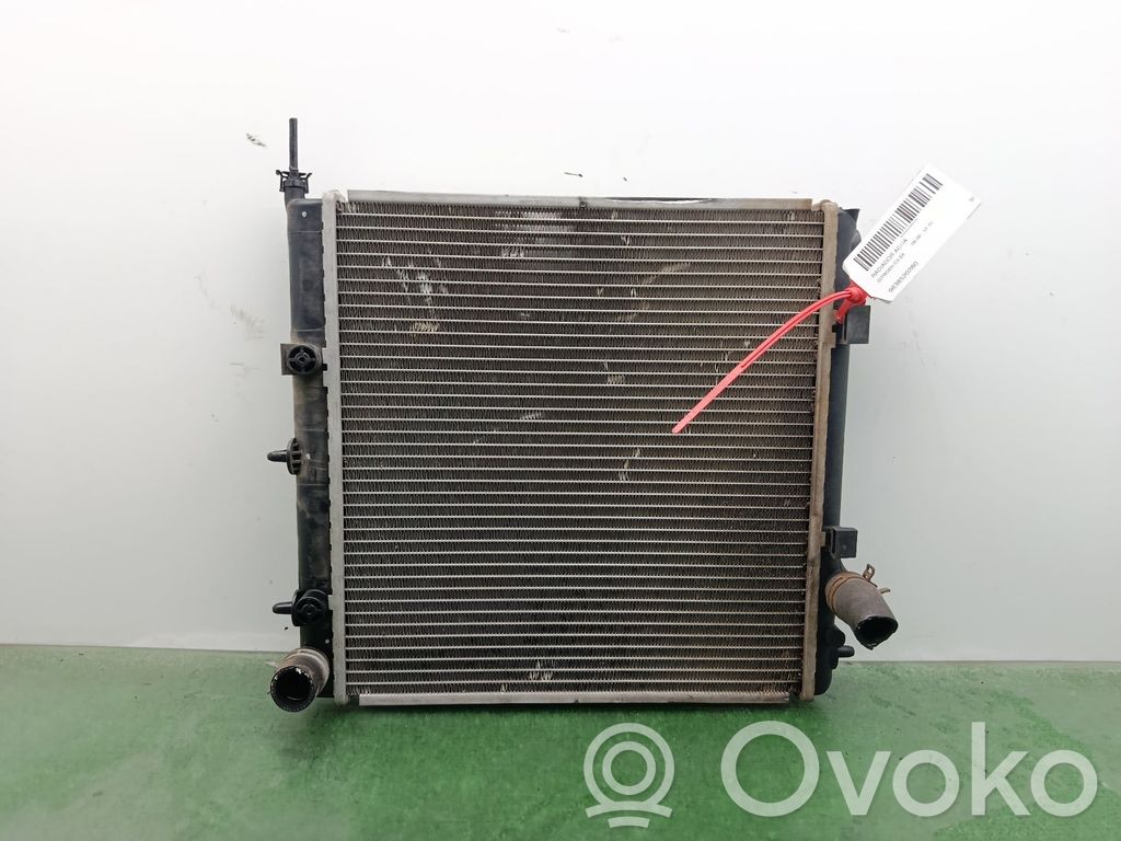 Citroen C3 Wasserkühler 