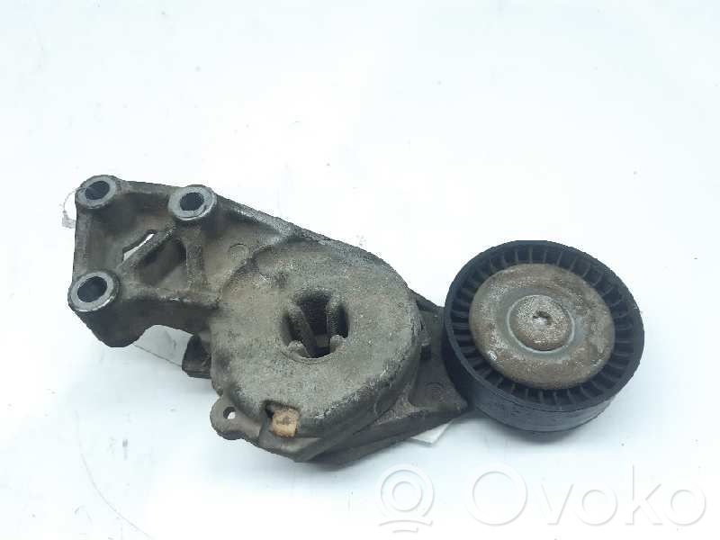 Audi A3 S3 A3 Sportback 8P Întinzător curea generator/alternator 