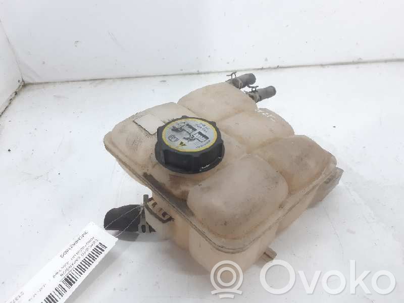 Ford Focus Vas expansiune/rezervor lichid de răcire