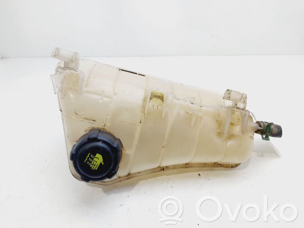 Renault Kangoo II Vas expansiune/rezervor lichid de răcire 