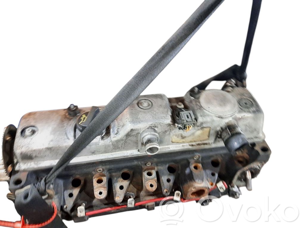 Galvutė   1S4Q6090