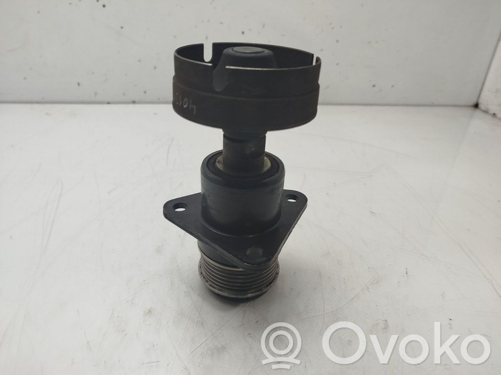 Ford Focus Polea del alternador 