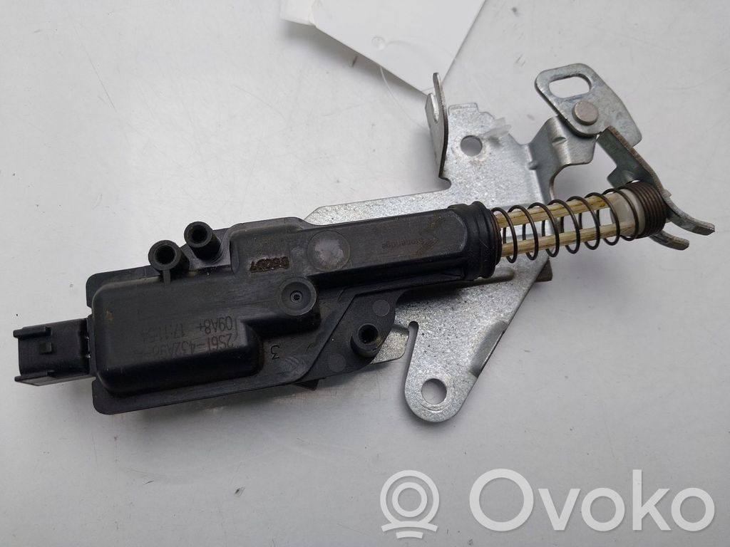 Ford Fiesta Motorino di blocco/chiusura del portellone del bagagliaio