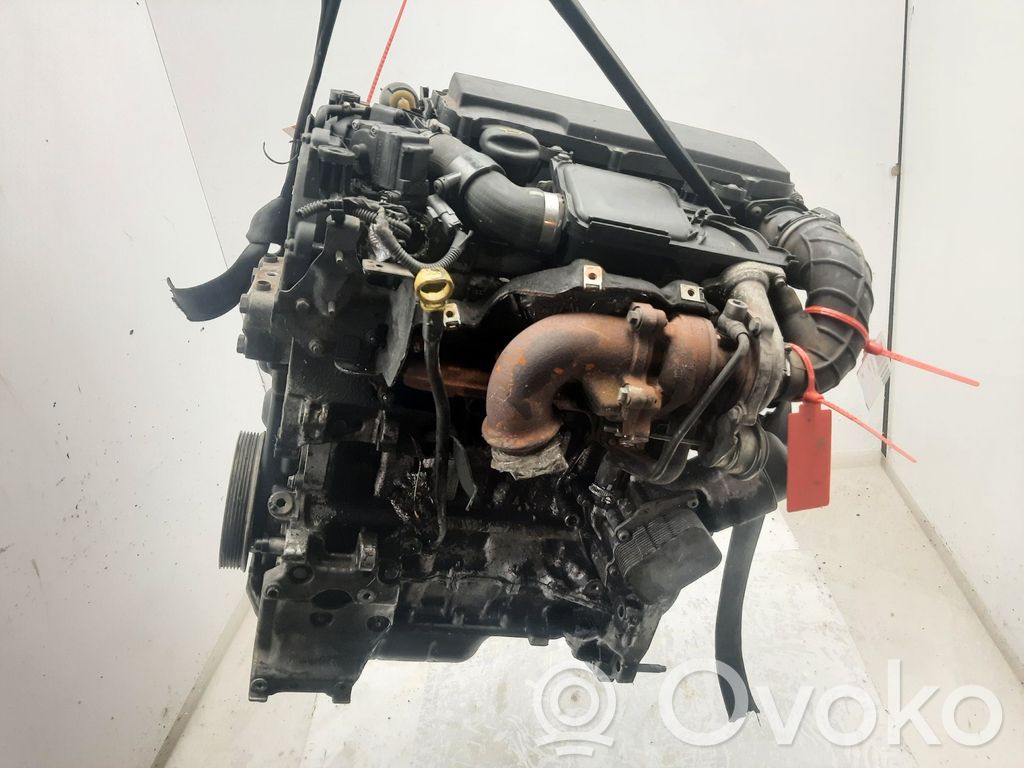 Motor   8HZ