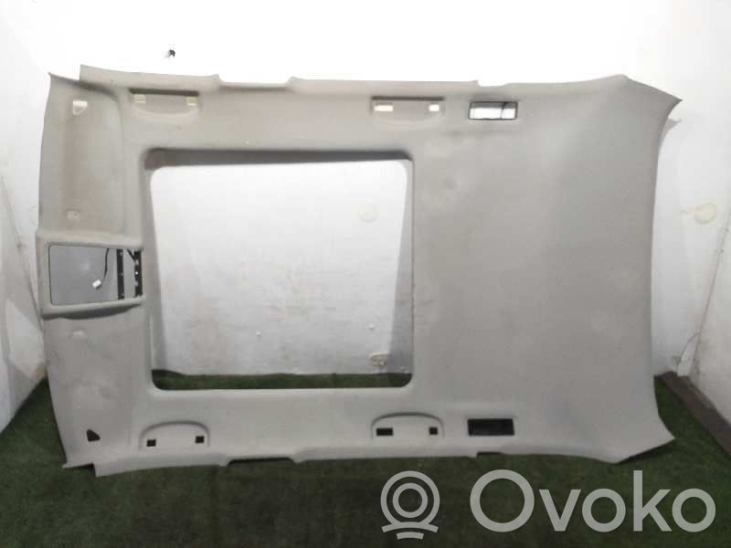 BMW X1 E84 Techo 
