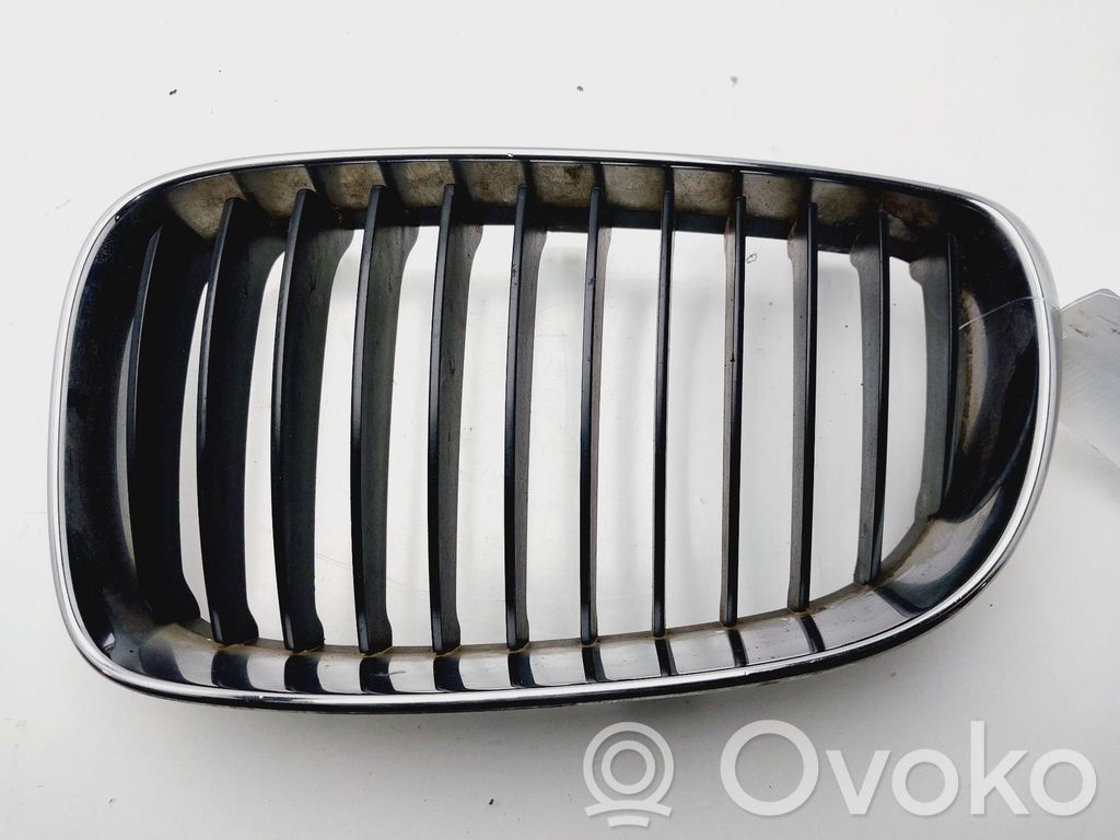 Kühlergrill   51137166439