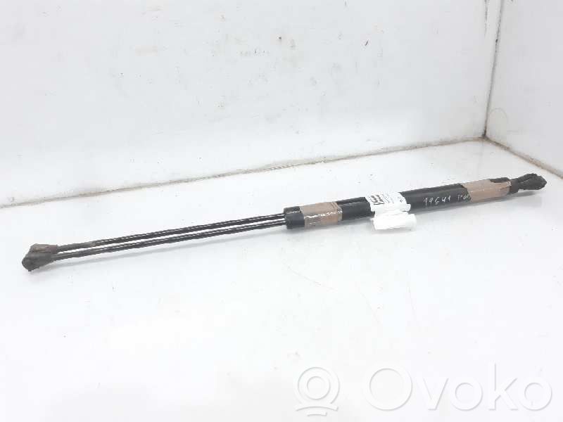 Tailgate/trunk strut/damper   25320
