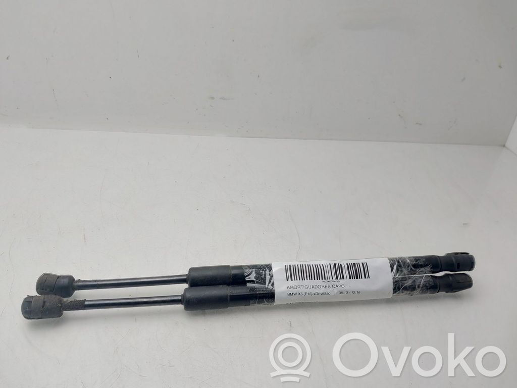 BMW X5 F15 Amortizor capotă motor 