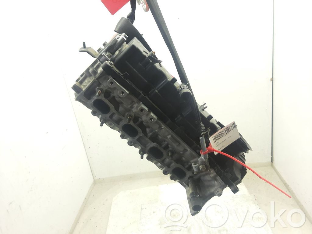 Galvutė   R2AA10100