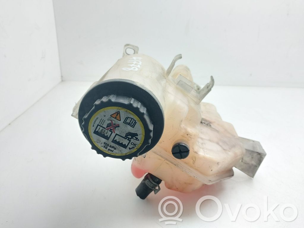 Land Rover Range Rover Sport L320 Serbatoio di compensazione del liquido refrigerante/vaschetta 