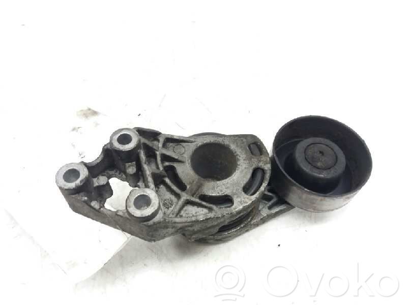 Tendicinghia generatore/alternatore   045903315A