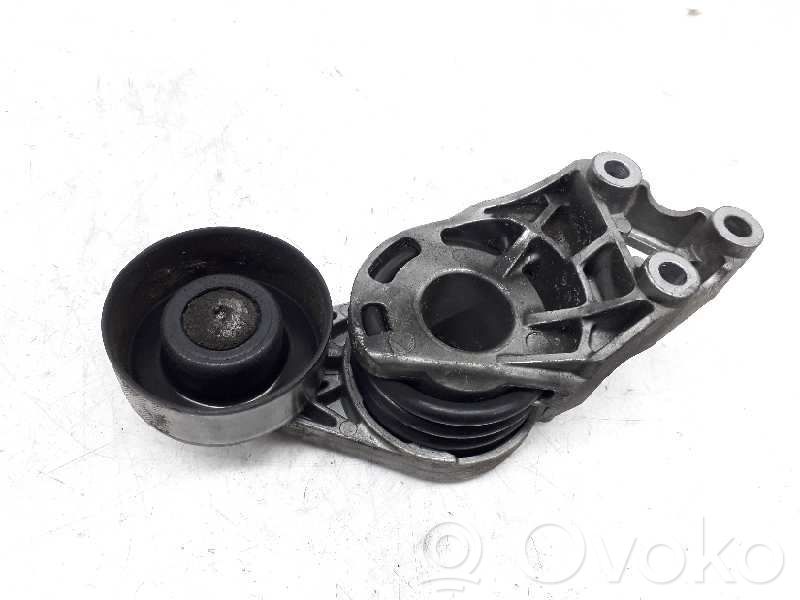 Tendicinghia generatore/alternatore   045903315A
