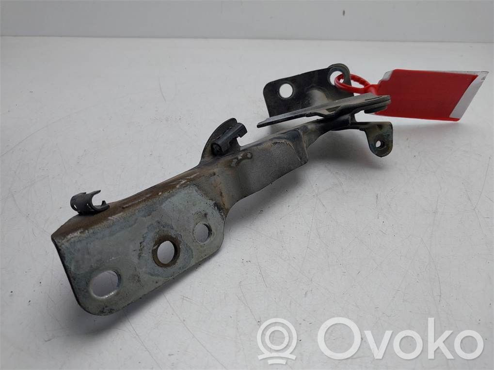 KIA Sorento Cerniere del vano motore/cofano