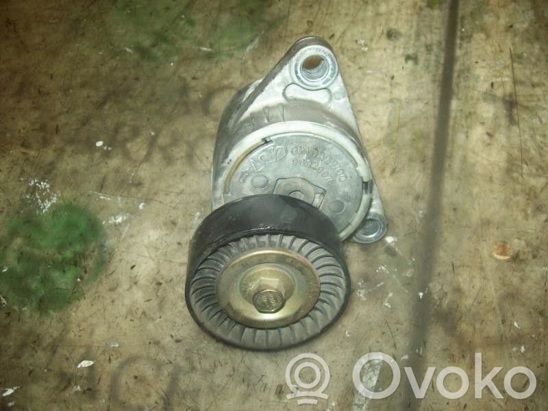 Întinzător curea generator/alternator