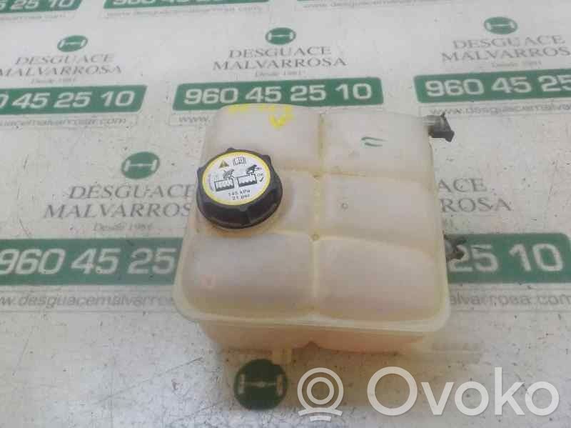 Kuro išsiplėtimo bakelis   1717754,BV618K218AE