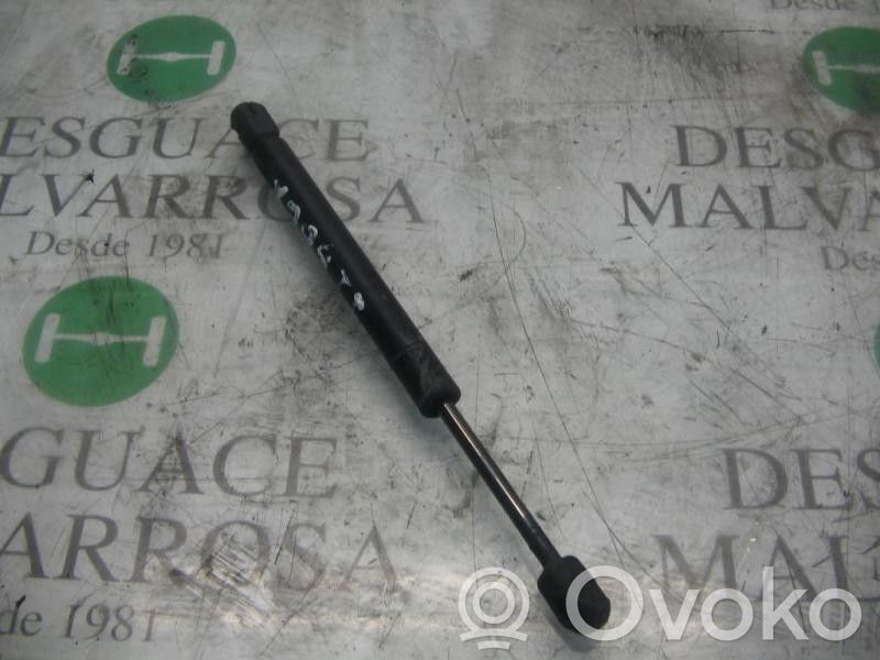 Tailgate/trunk strut/damper   51241960862