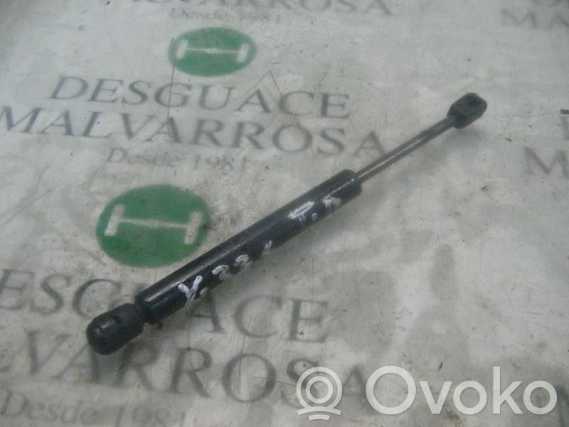 Tailgate/trunk strut/damper   51241960862