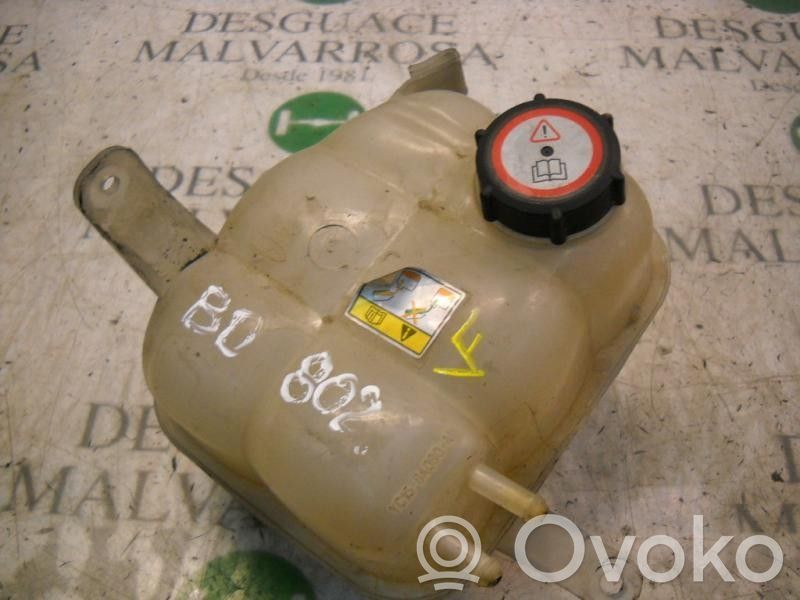 Fuel expansion tank