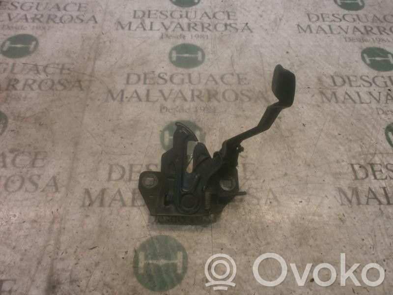 Tie down hook / loop