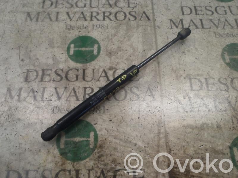 Amortizor hayon   817713F002