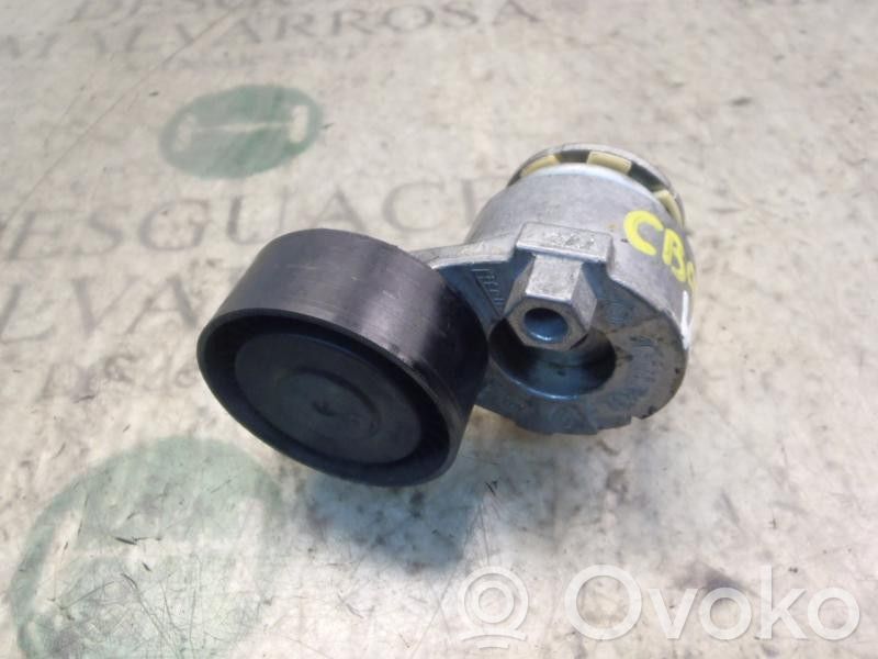 Tensor de correa del alternador   8200608550
