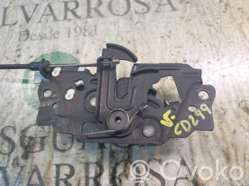 Tie down hook / loop   1808504