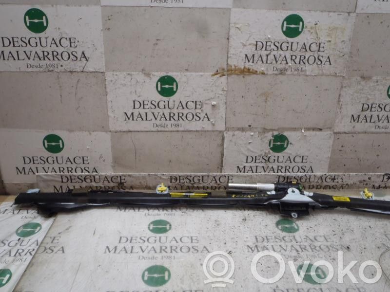 Airbag de la puerta delantera